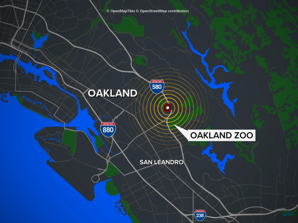 Bay Area Earthquake Today: San Leandro Quake Shakes SF & Oakland (USGS Updates)