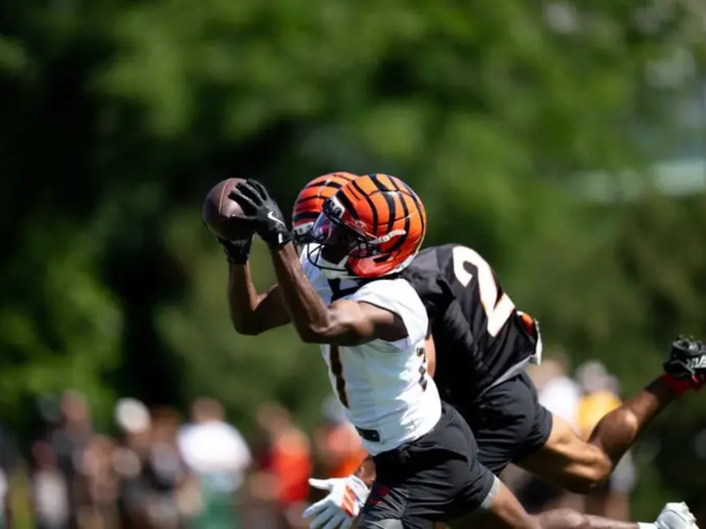 Dohnte Meyers: Bengals Breakout Candidate & Remarkable Journey to the NFL