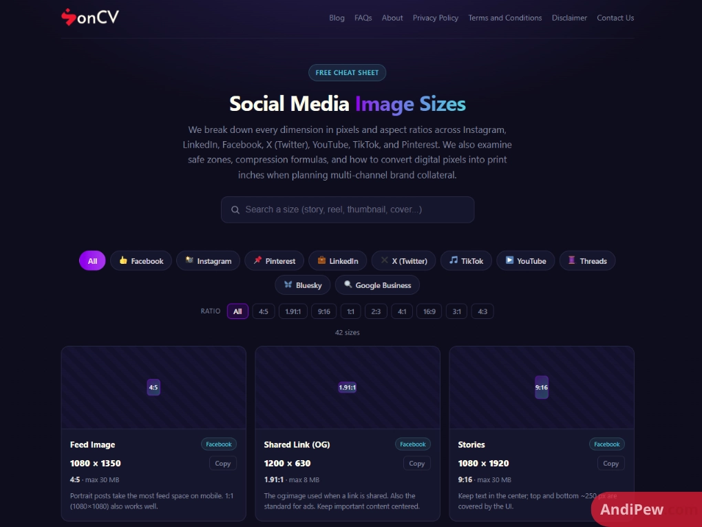 SonCV Review: The Best Social Media Sizing Tool?