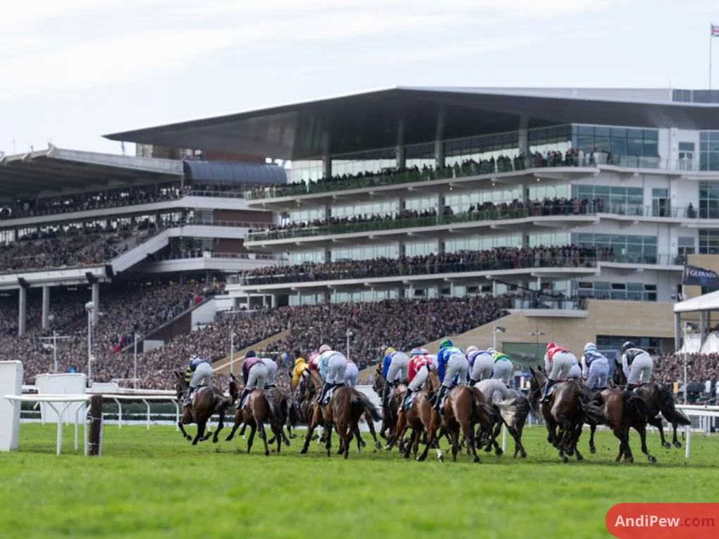 Willie Mullins Fined by BHA as Cheltenham Festival Runner-Up Is Disqualified Over Prohibited Substance