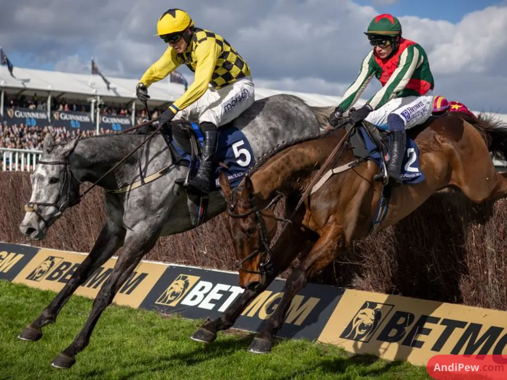 Willie Mullins Fined by BHA as Cheltenham Festival Runner-Up Is Disqualified Over Prohibited Substance
